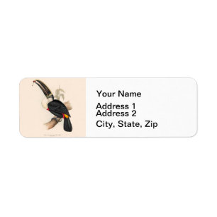 Cuviers Toucan Print: Vintage Tropical Bird