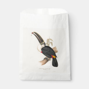 Cuviers Toucan Print: Vintage Tropical Bird Favour Bags