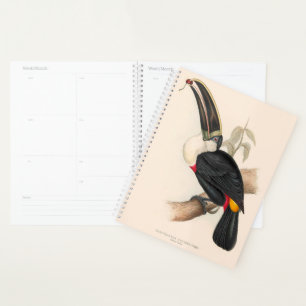 Cuviers Toucan Print: Vintage Tropical Bird Planner