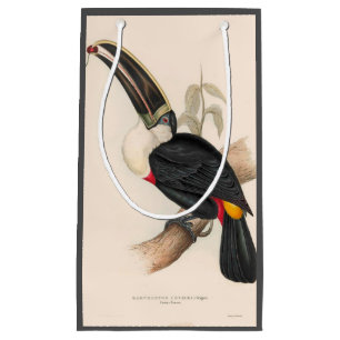 Cuviers Toucan Print: Vintage Tropical Bird Small Gift Bag