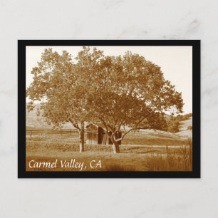 CV summer shed Postcard