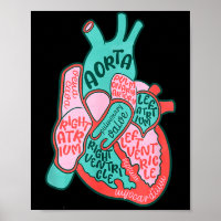 Cvicu Cardiac Nurse Human Heart Anatomy Cardiology