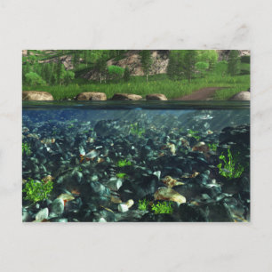 Cwm River Postcard