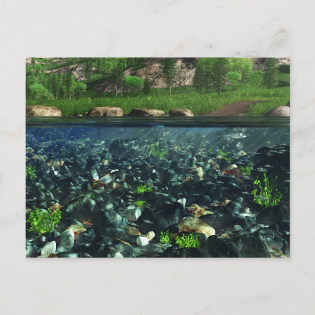 Cwm River Postcard (Front)