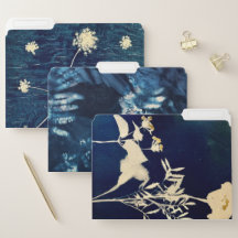 Cyanotype File Folder Set