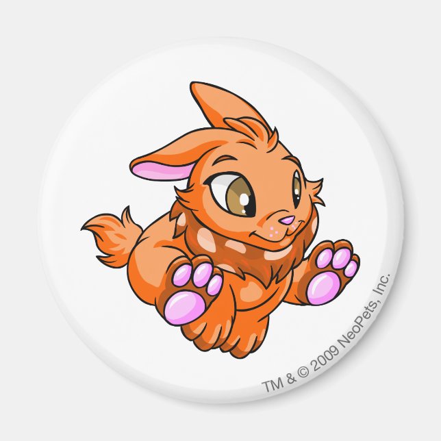 Cybunny Orange Magnet (Front)