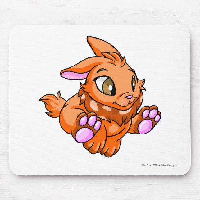 Cybunny Orange Mouse Mat (Front)