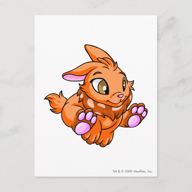 Cybunny Orange Postcard (Front)