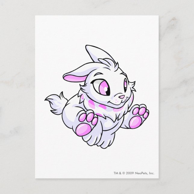Cybunny White Postcard (Front)
