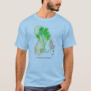 CYCAD Podocarpus Print Shirt