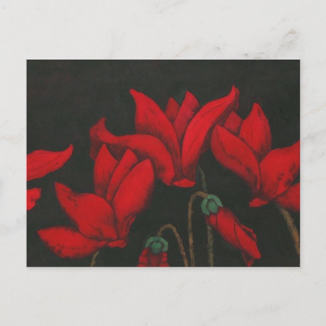 "Cycalman" Floral Postcard (Front)