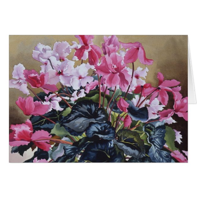 Cyclamen 2004 (Front Horizontal)