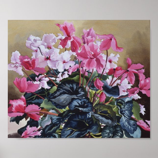 Cyclamen 2004 poster (Front)