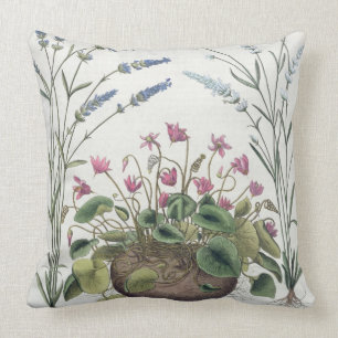 Cyclamen and Lavender: 1.Cyclamen Romanum; 2.Spica Cushion