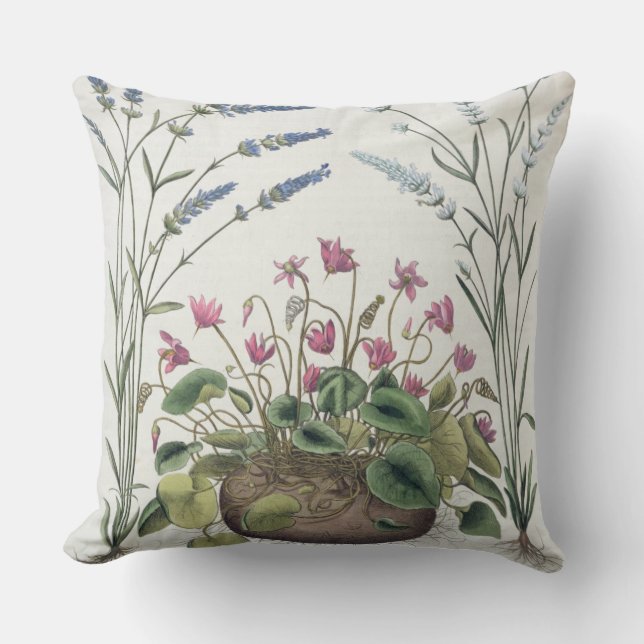Cyclamen and Lavender: 1.Cyclamen Romanum; 2.Spica Cushion (Front)