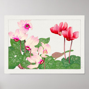 Cyclamen by Tanigami Konan Poster