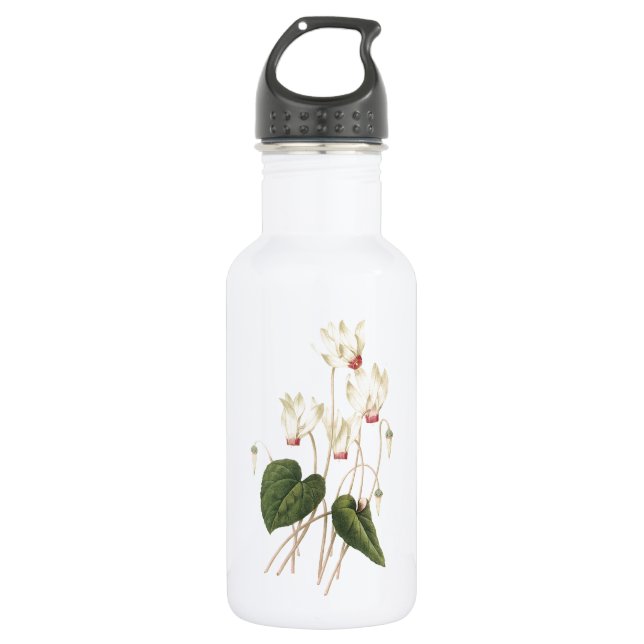 cyclamen(Cyclamen sp.) by Redouté 532 Ml Water Bottle (Front)
