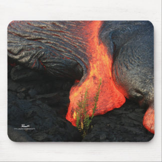 Cycle of Life - Hawaii, The Big Island Mouse Mat