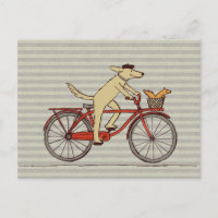 Cycling Dog with Squirrel Friend - Fun Animal Art