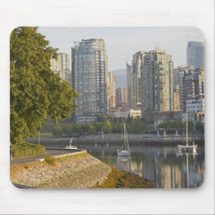 Cyclist along the Seawall Trail in downtown Mouse Mat
