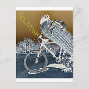 Cyclocactaceae Postcard