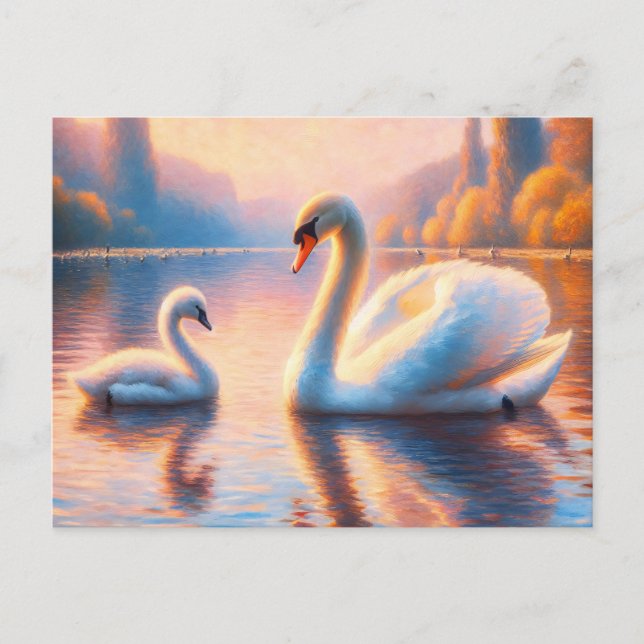Cygnet and Swan Postcard (Front)
