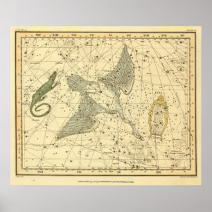 Cygnus, Laceria, and Via Lactea Poster
