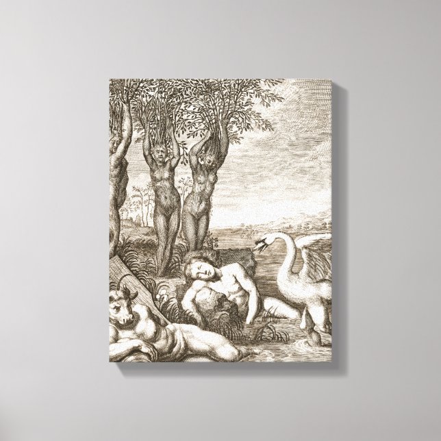 Cygnus Transformed into a Swan and Phaeton's Siste Canvas Print (Front)
