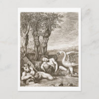 Cygnus Transformed into a Swan and Phaeton's Siste