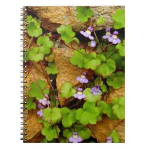 Cymbalaria Muralis Spiral Photo Notebook