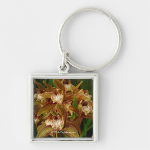 Cymbidium tracyanum key ring
