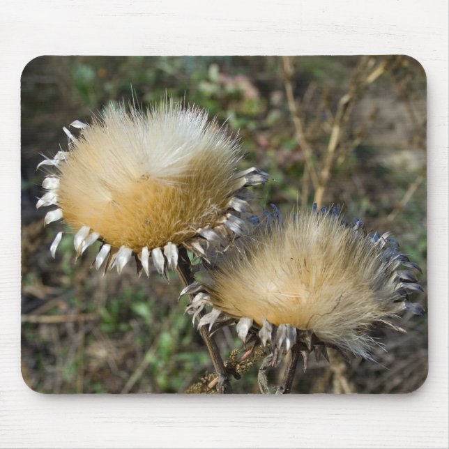 Cynara cardunculus mouse mat (Front)