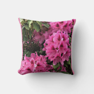 Cynthia Rhododendrons, Oregon Cushion