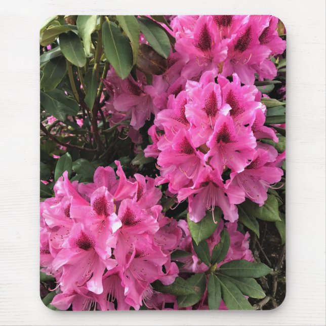 Cynthia Rhododendrons, Oregon Mouse Mat (Front)