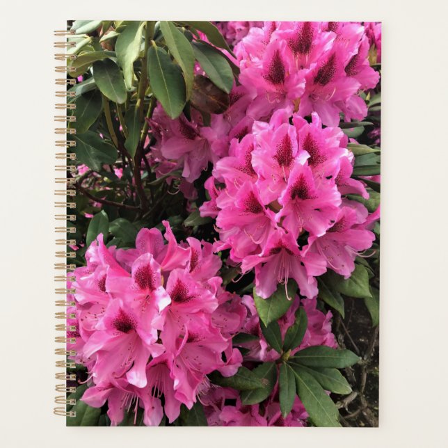 Cynthia Rhododendrons, Oregon Planner (Front)