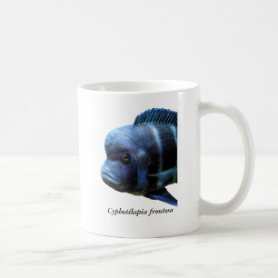 Cyphotilapia frontosa coffee mug