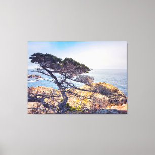 Cypress by The Sea Canvas Print