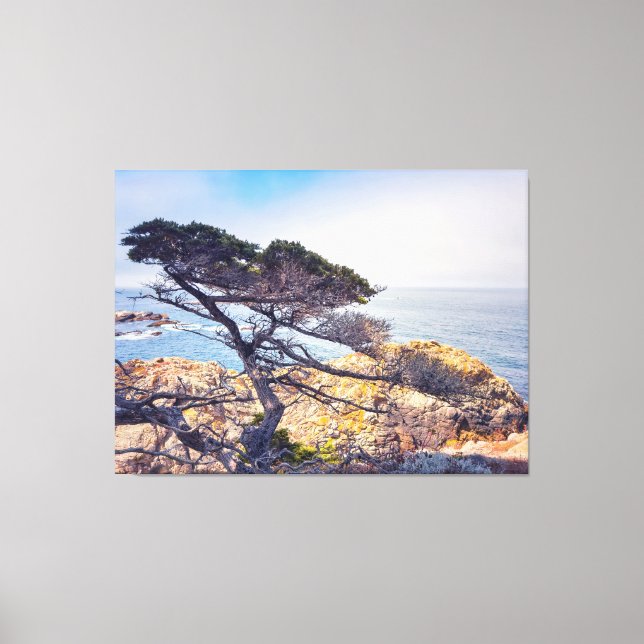 Cypress by The Sea Canvas Print (Front)