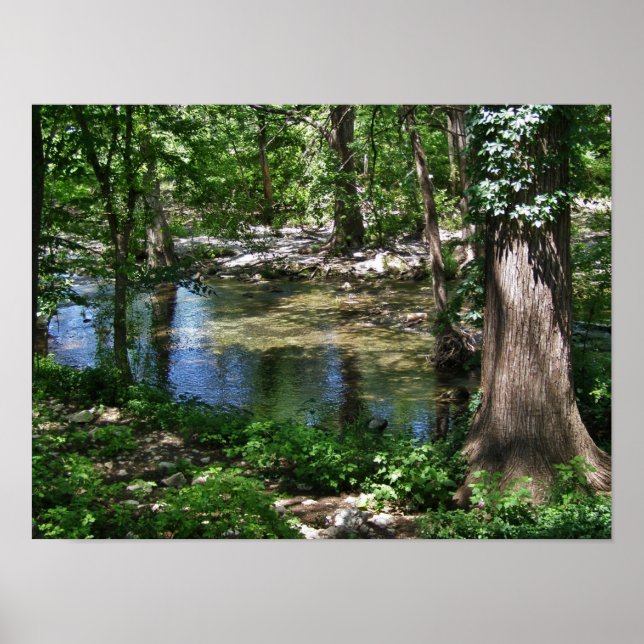 Cypress Creek Poster (Front)