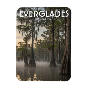 Cypress Dome Everglades National Park Florida Magnet