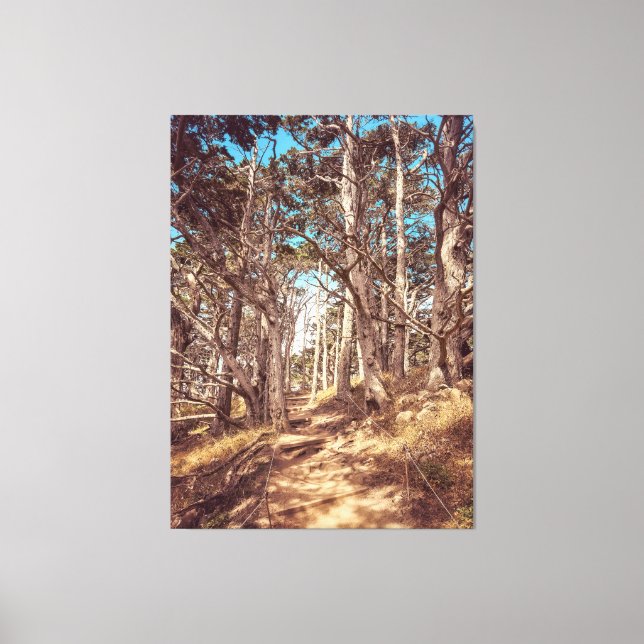 Cypress Forest Canvas Print (Front)