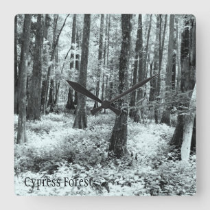 Cypress Forest Wall Clock