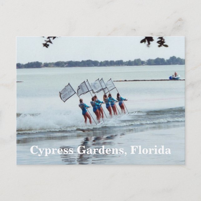 Cypress Gardens Florida Girls WaterSkiing PostCard (Front)