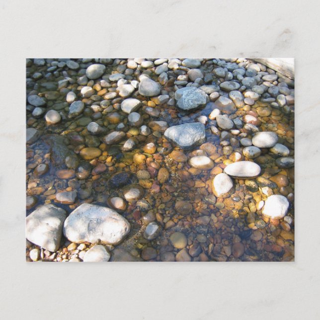 Cypress Hills, Alb. Canada Postcard (Front)