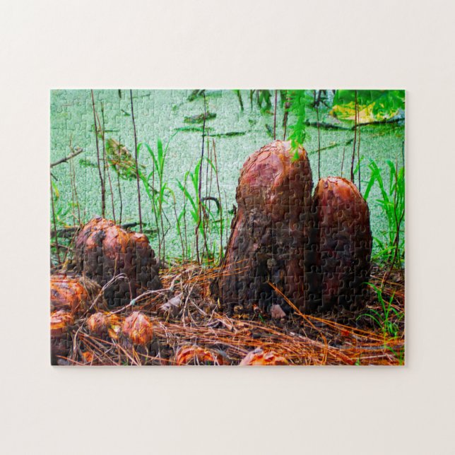 Cypress Knees Bayou Louisiana. Jigsaw Puzzle (Horizontal)