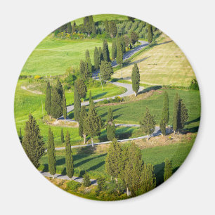 Cypress lined road in Tuscany round magnet