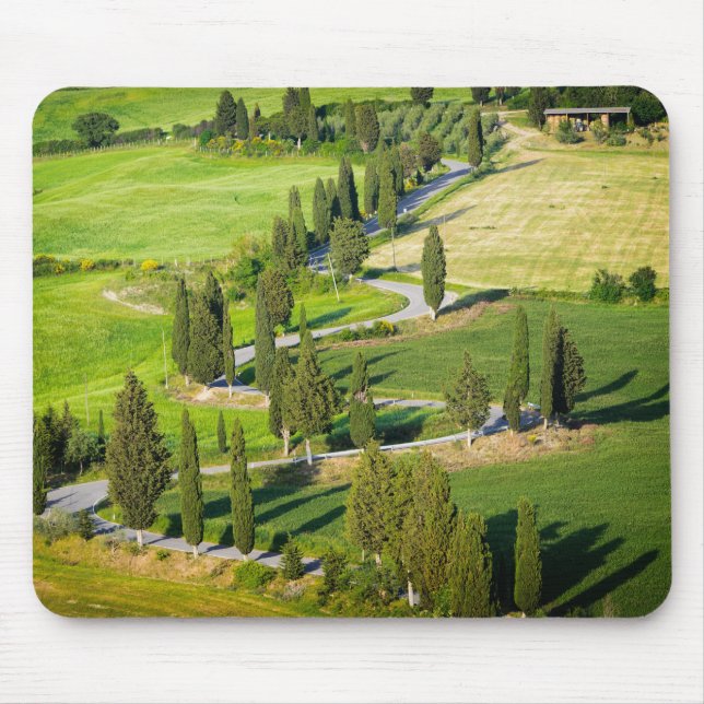 Cypress lined winding road in Tuscany mousepad (Front)