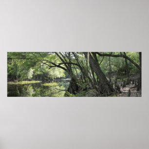 Cypress River Panoramic Poster -60x20 -or smaller