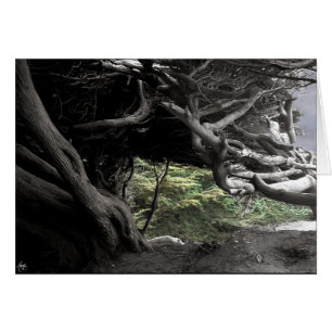 Cypress Skeleton - card