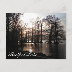Cypress Sunset at Reelfoot Postcard